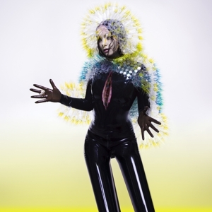Cover: 5016958998585 | Vulnicura | Björk | Schallplatte | Vinyl / Schallplatte | 2022