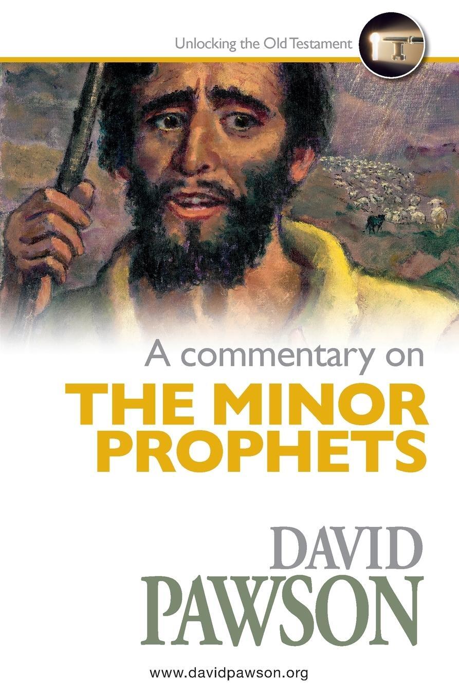 Cover: 9781911173946 | A Commentary on The Minor Prophets | David Pawson | Taschenbuch | 2019