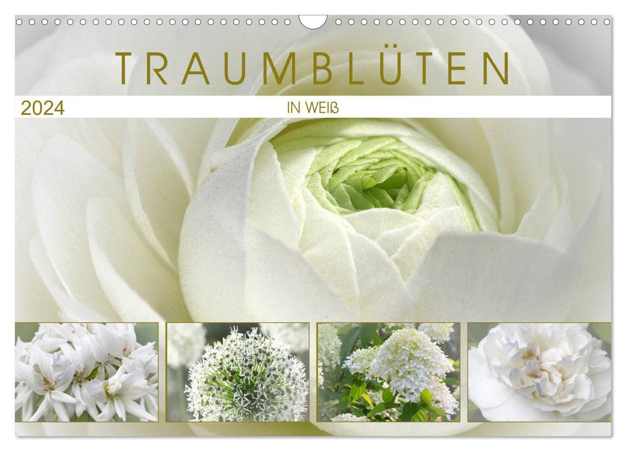 Cover: 9783383242809 | Traumblüten in Weiß (Wandkalender 2024 DIN A3 quer), CALVENDO...