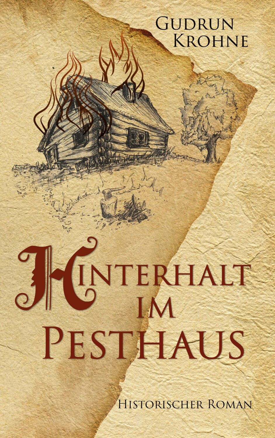 Cover: 9783740766917 | Hinterhalt im Pesthaus | Historischer Roman | Gudrun Krohne | Buch