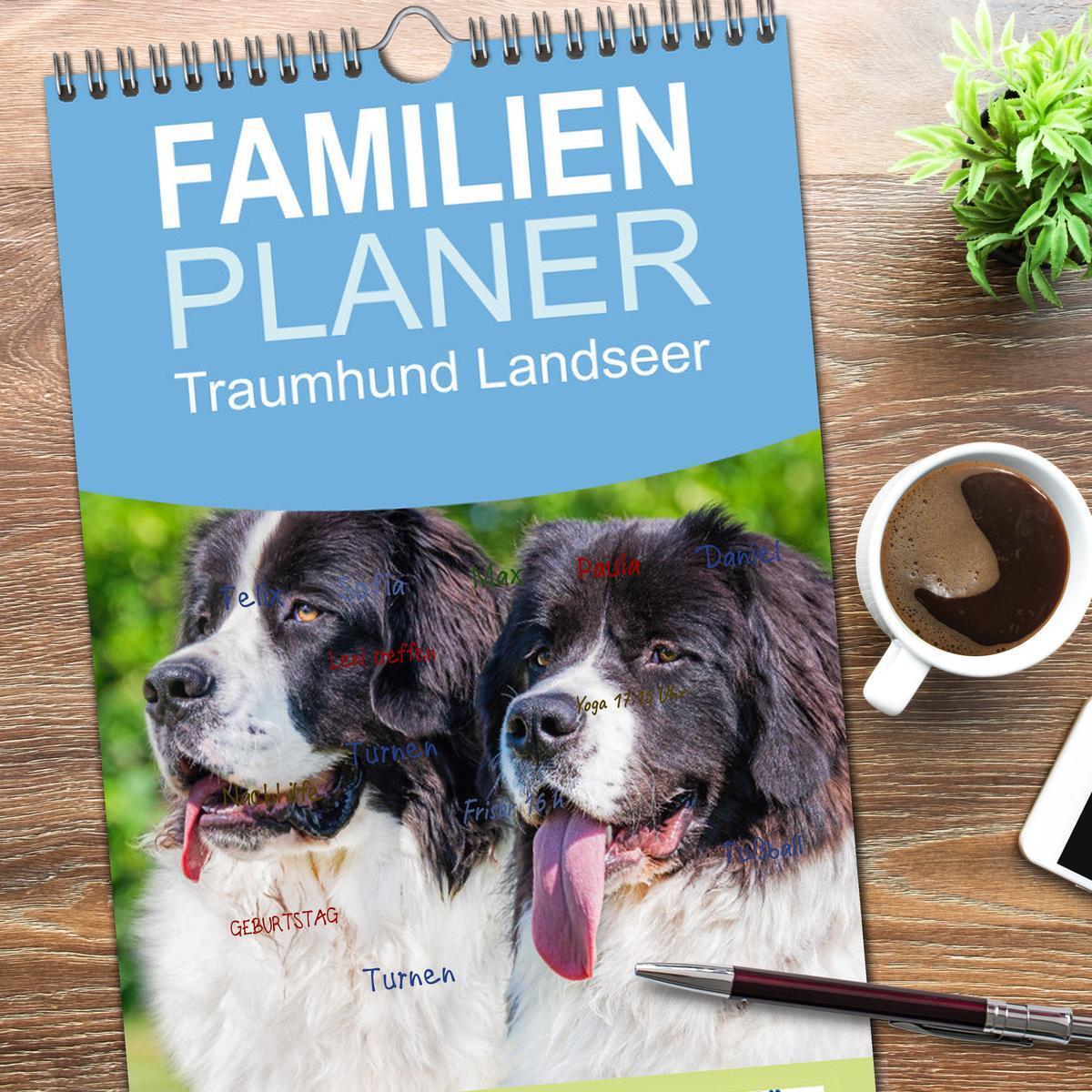 Bild: 9783457095034 | Familienplaner 2025 - Traumhund Landseer mit 5 Spalten...