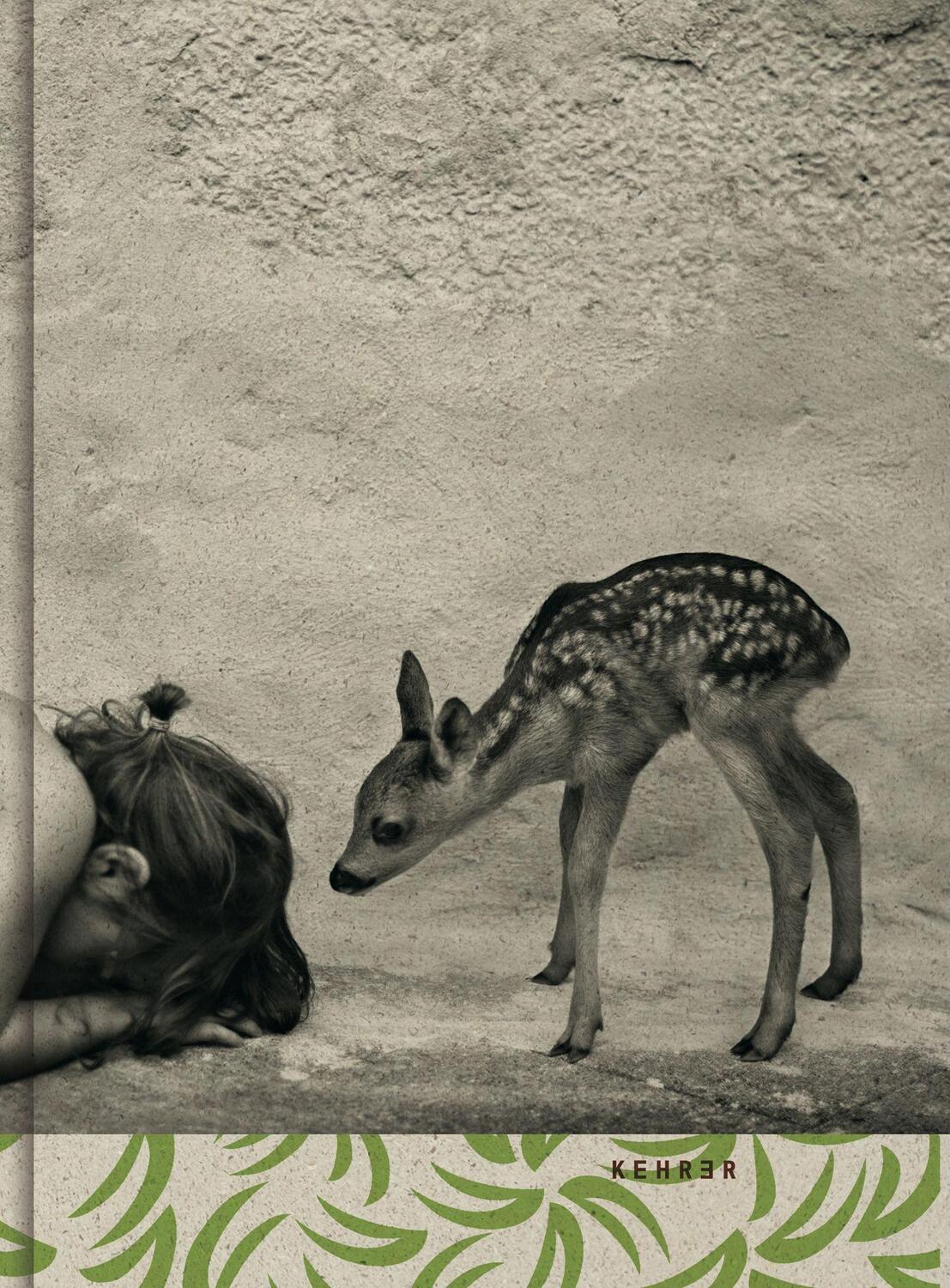 Cover: 9783868288957 | Alain Laboile | Summer of the Fawn, Engl/frz | Alain Laboile | Buch