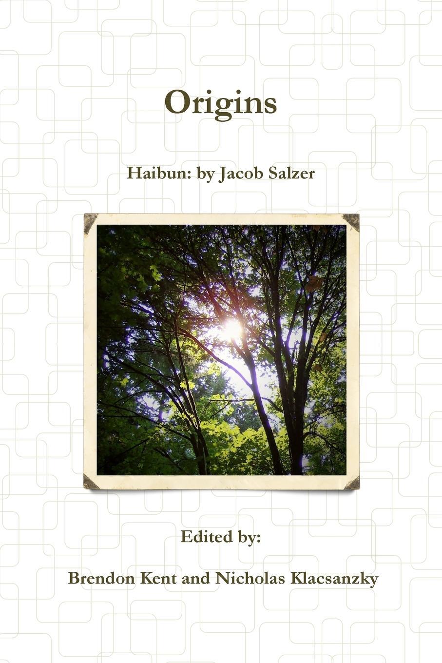 Cover: 9781365962387 | Origins | Haibun | Jacob Salzer | Taschenbuch | Paperback | Englisch