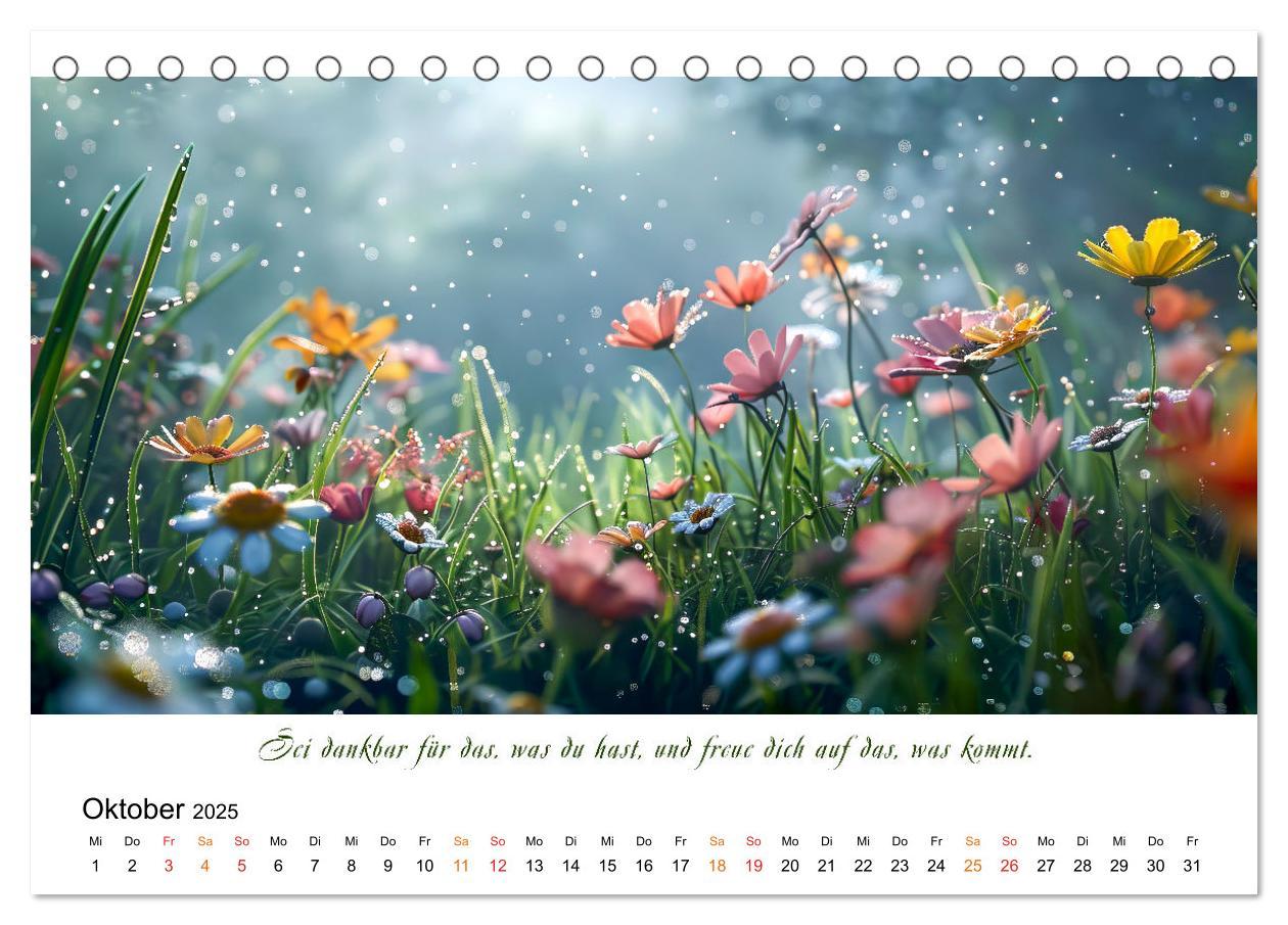 Bild: 9783383814624 | Freu Dich Motivations-Kalender (Tischkalender 2025 DIN A5 quer),...