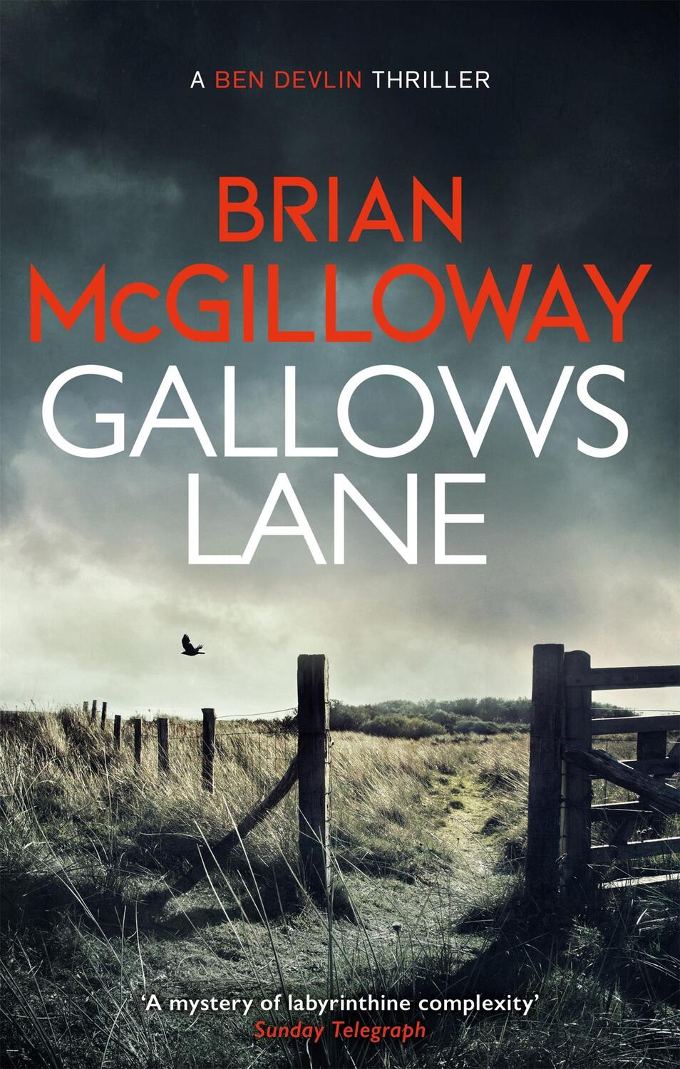 Cover: 9781472133328 | Gallows Lane | Brian Mcgilloway | Taschenbuch | Englisch | 2021