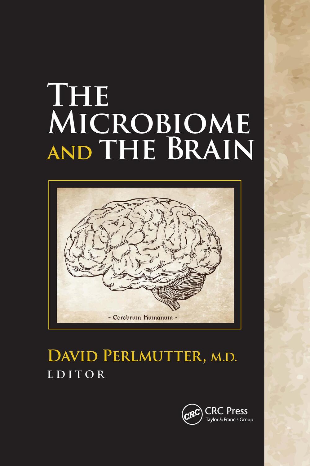 Cover: 9781032176307 | The Microbiome and the Brain | David Perlmutter | Taschenbuch | 2021