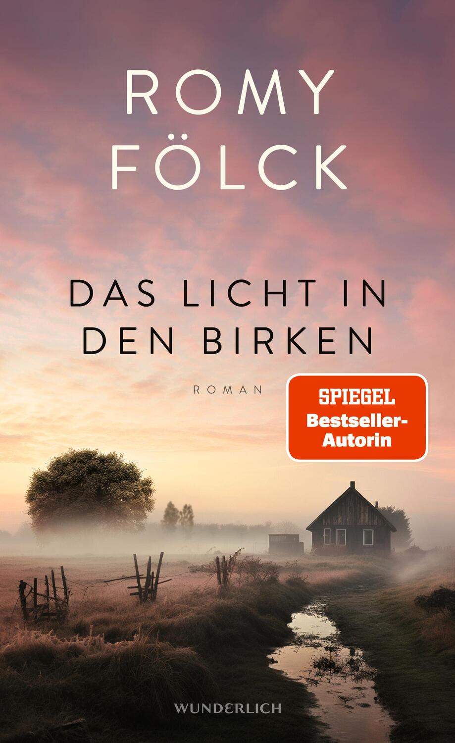 Cover: 9783805201117 | Das Licht in den Birken | Romy Fölck | Buch | 352 S. | Deutsch | 2024