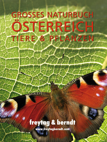 Cover: 9783707908961 | Großes Naturbuch Österreich Tiere &amp; Pflanzen | KG | Buch | 248 S.