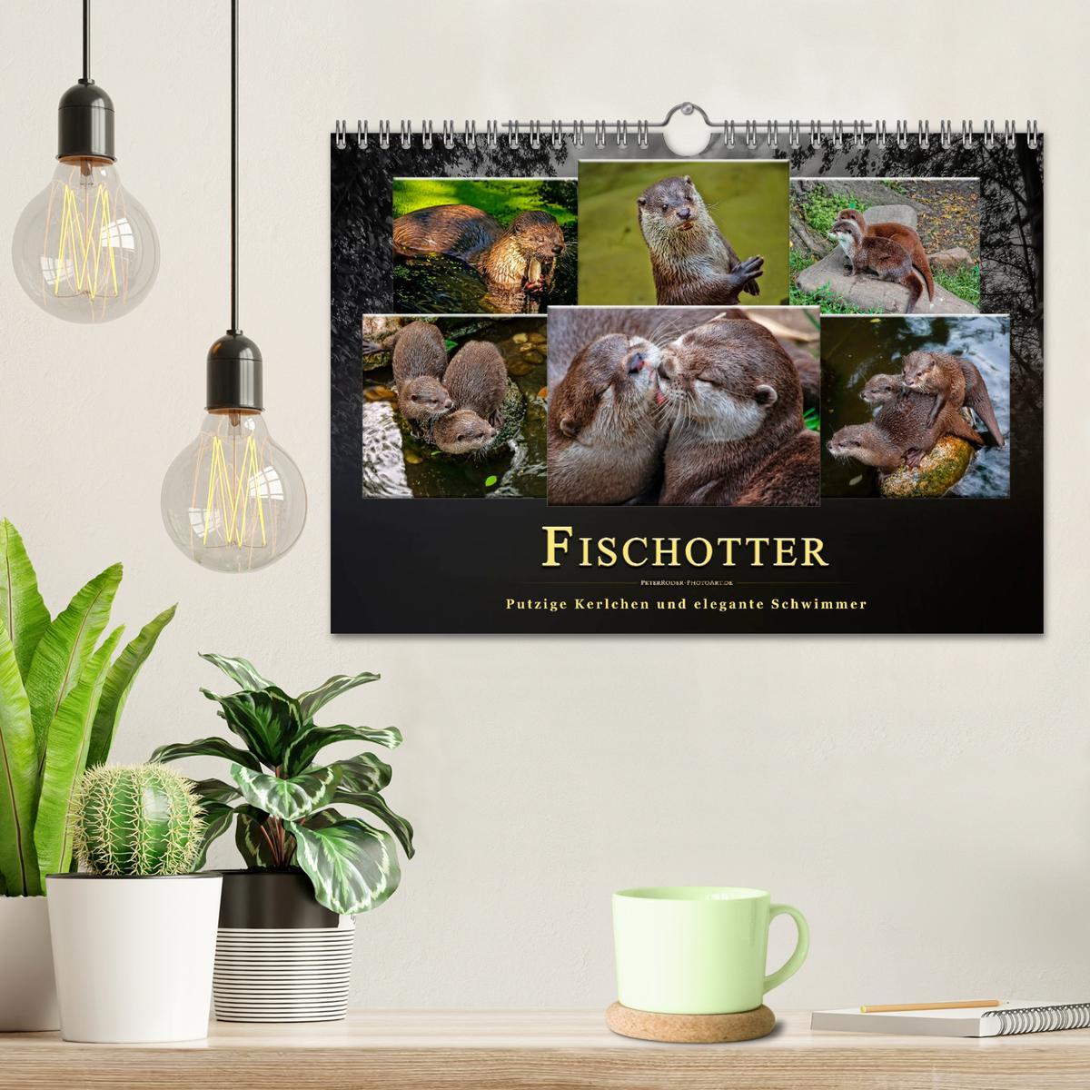 Bild: 9783435377145 | Fischotter - putzige Kerlchen und elegante Schwimmer (Wandkalender...