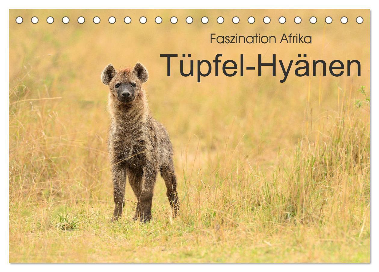 Cover: 9783675563957 | Faszination Afrika: Tüpfel-Hyänen (Tischkalender 2024 DIN A5 quer),...