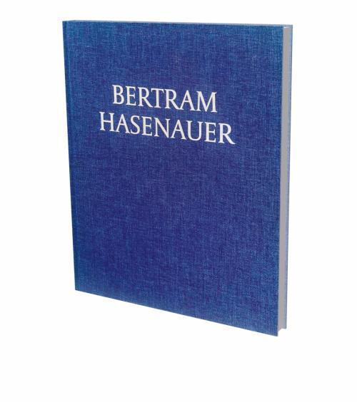 Cover: 9783864424137 | Bertram Hasenauer | Kat. Kunsthalle Memmingen | Bertram Hasenauer