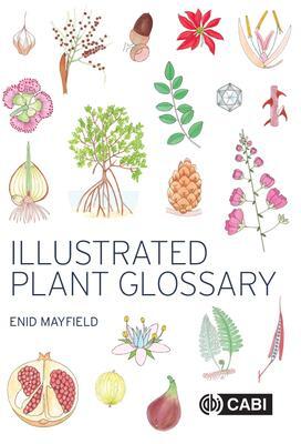 Cover: 9781800620674 | Illustrated Plant Glossary | Enid Mayfield | Taschenbuch | Englisch