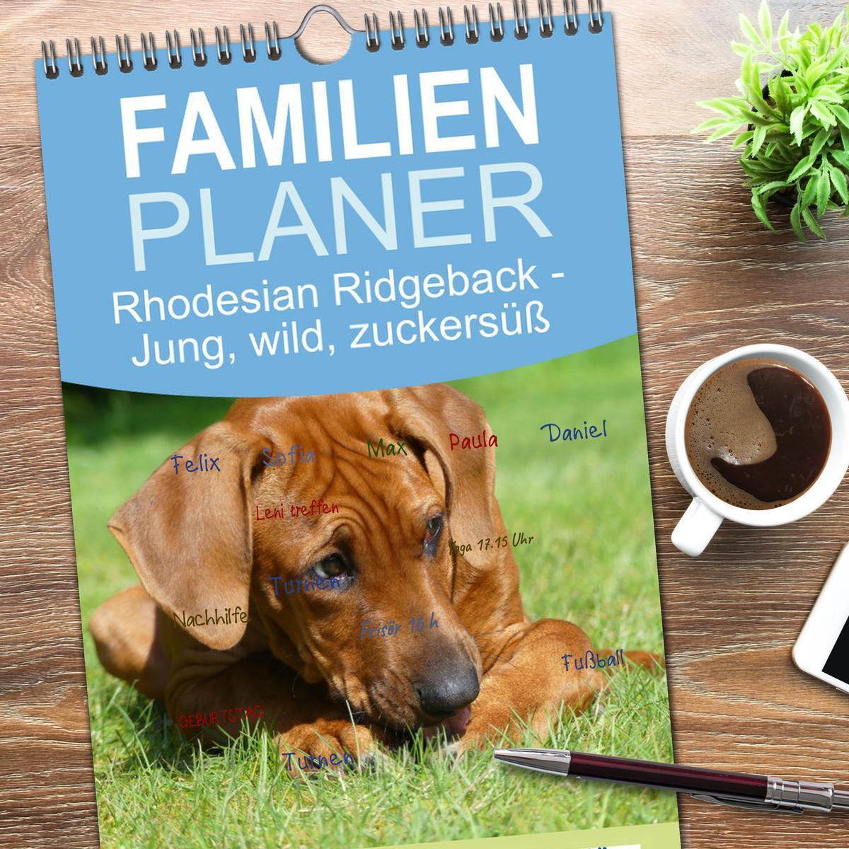 Bild: 9783457096239 | Familienplaner 2025 - Rhodesian Ridgeback - Jung, wild, zuckersüß...