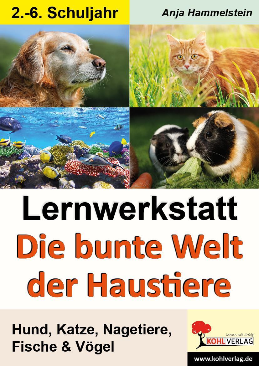 Cover: 9783866327283 | Lernwerkstatt - Die bunte Welt der Haustiere | Broschüre | 40 S.