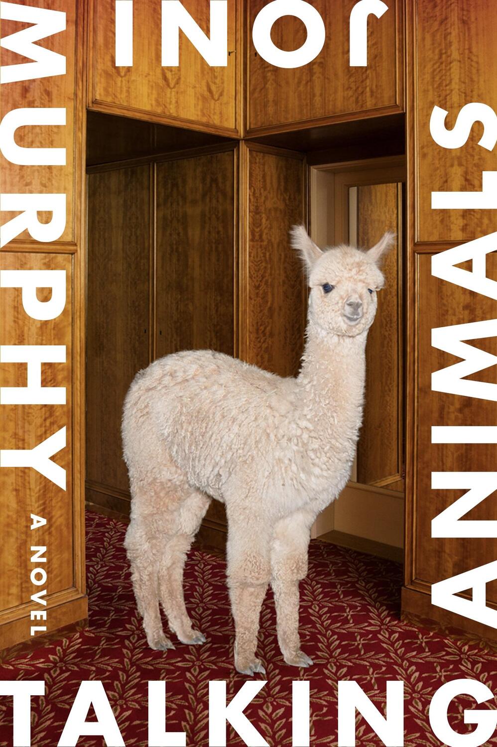 Cover: 9780374538743 | Talking Animals | A Novel | Joni Murphy | Taschenbuch | Englisch