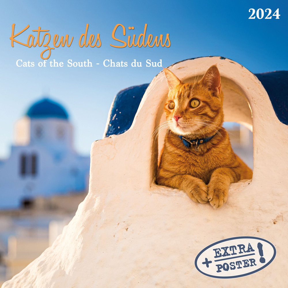 Cover: 9783959293310 | Katzen des Südens | Kalender 2024 | Kalender | Drahtheftung | 28 S.
