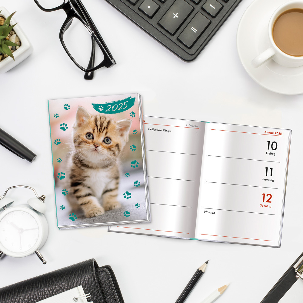 Bild: 4251901506924 | Trötsch Taschenkalender A7 Katze 2025 | Mini-Terminkalender | KG