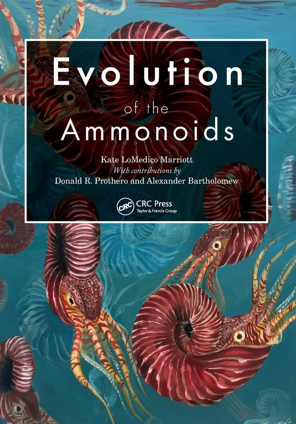 Cover: 9781032264363 | Evolution of the Ammonoids | Kate Lomedico Marriott (u. a.) | Buch