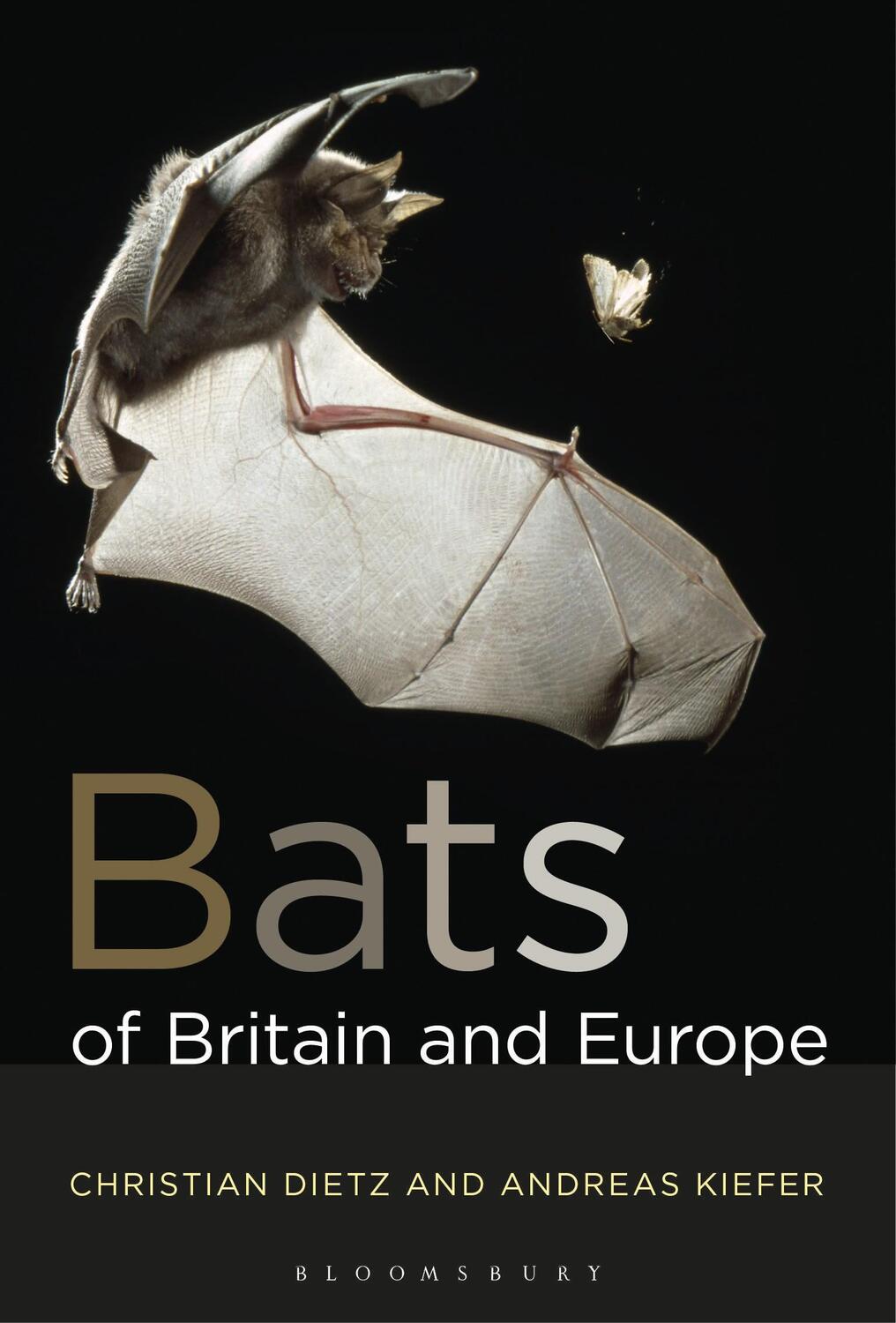 Cover: 9781472963185 | Bats of Britain and Europe | Christian Dietz (u. a.) | Taschenbuch