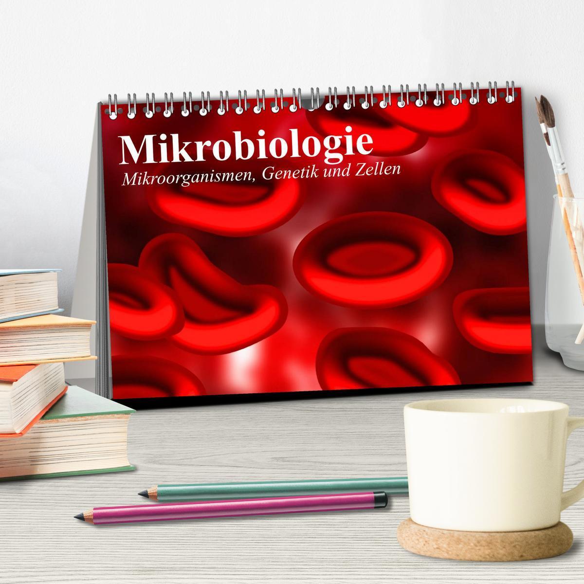 Bild: 9783435482832 | Mikrobiologie. Mikroorganismen, Genetik und Zellen (Tischkalender...