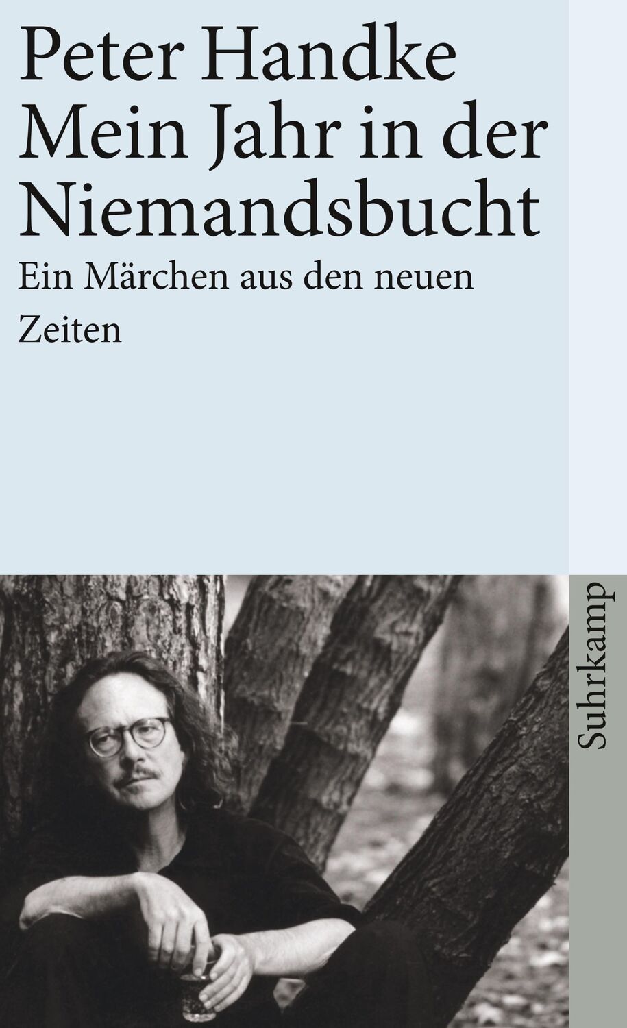 Cover: 9783518458877 | Mein Jahr in der Niemandsbucht | Ein Märchen aus den neuen Zeiten