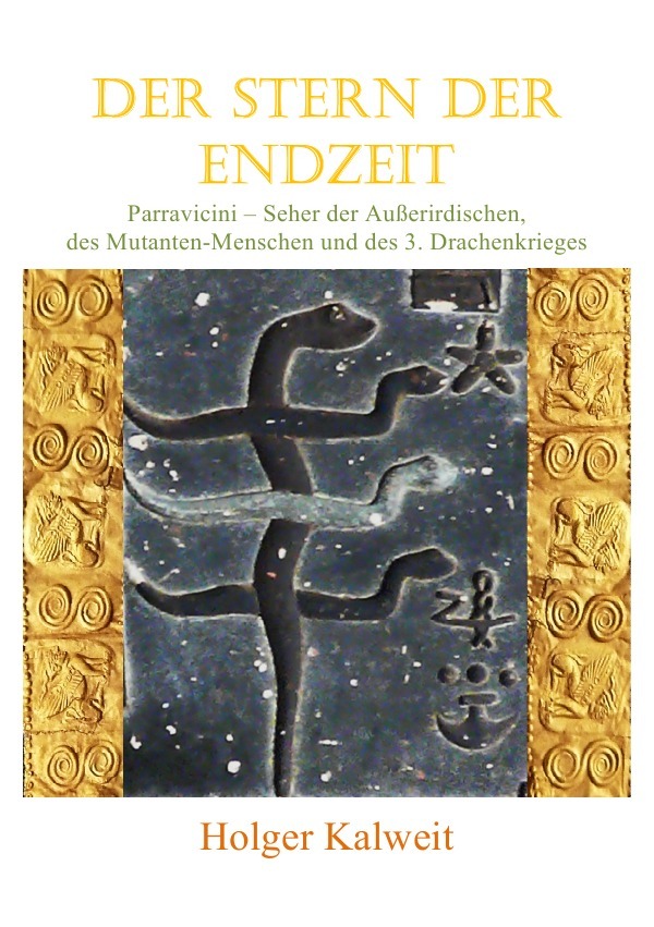 Cover: 9783748584537 | Der Stern der Endzeit | Holger Kalweit | Taschenbuch | 168 S. | 2019