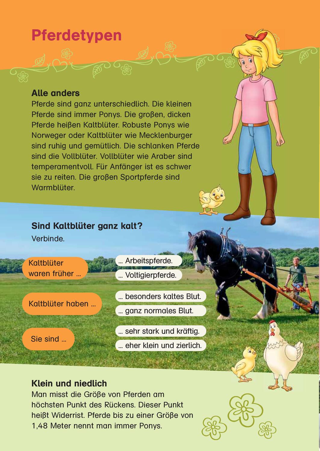 Bild: 9783129496770 | Bibi & Tina: Das große Pferde-Quizbuch mit Bibi und Tina | Taschenbuch