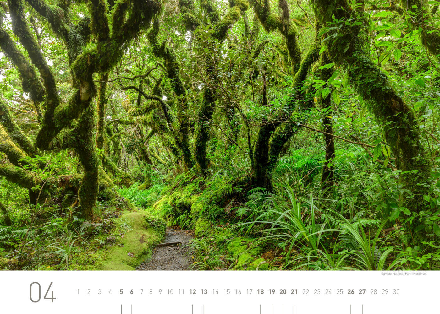 Bild: 9783968555430 | 360° Neuseeland Exklusivkalender 2025 | Christian Heeb | Kalender