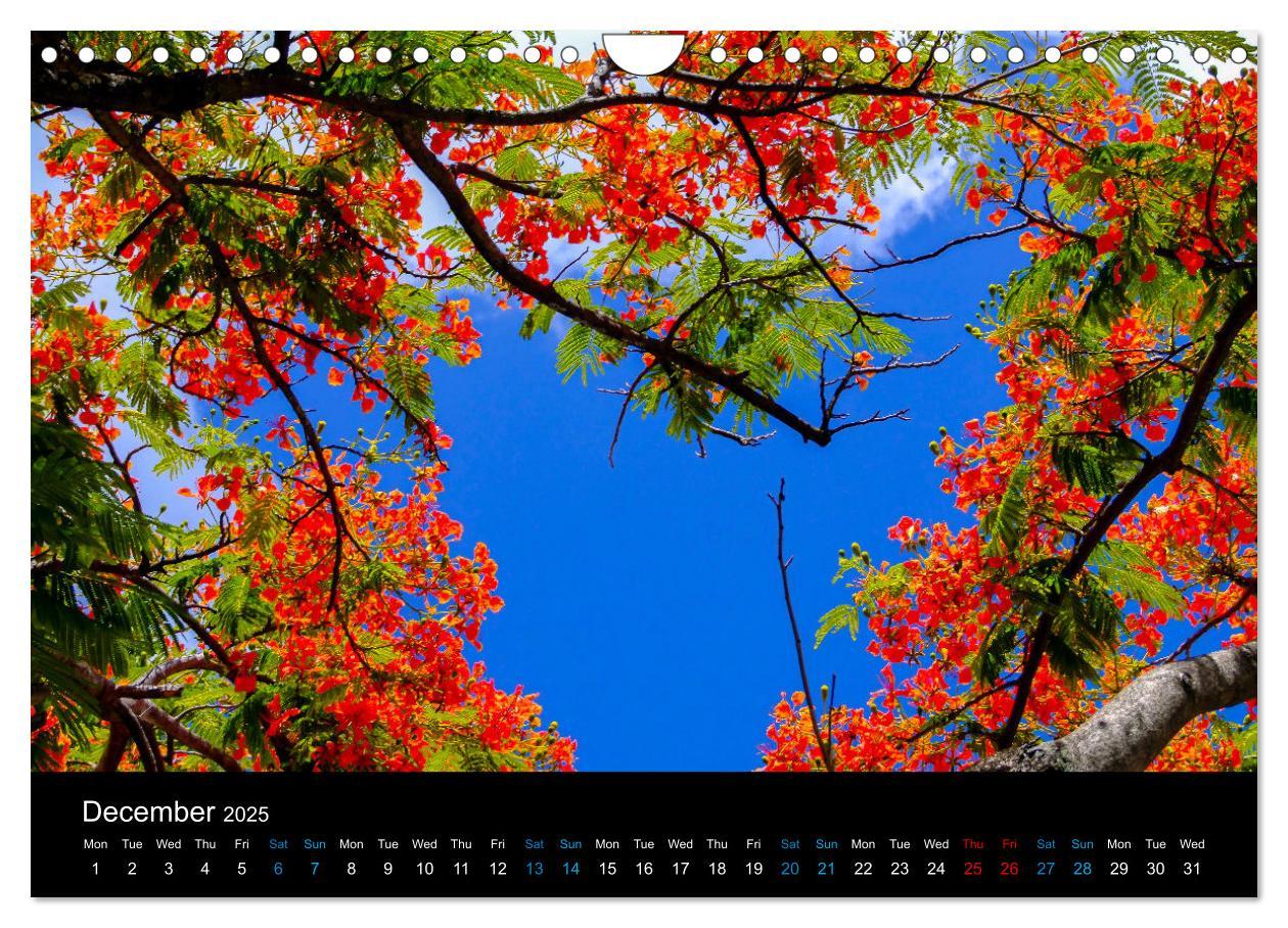 Bild: 9781325939725 | Beautiful Mauritius (Wall Calendar 2025 DIN A4 landscape), CALVENDO...