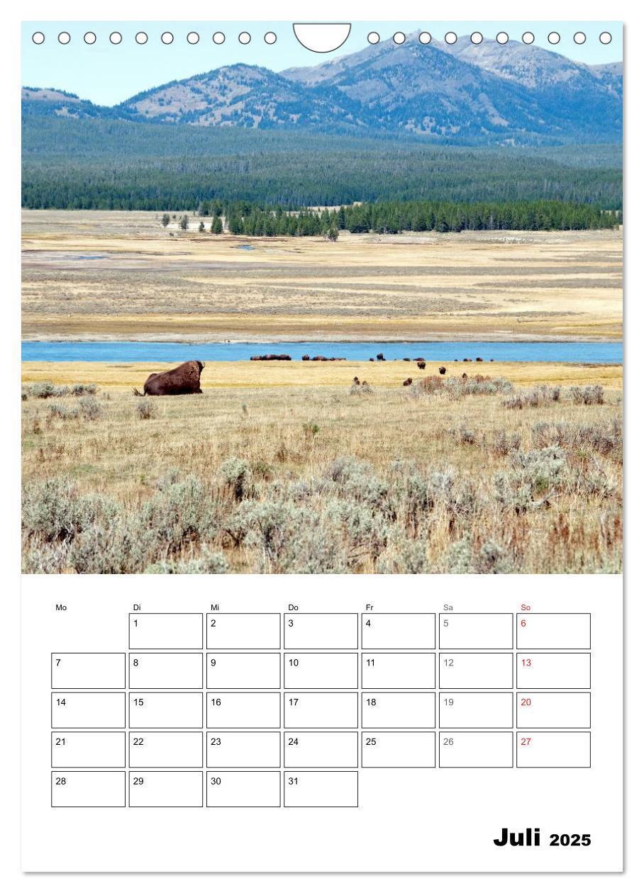 Bild: 9783457051634 | Yellowstone und Grand Tetons Nationalparks (Wandkalender 2025 DIN...