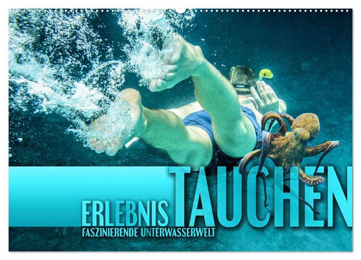 Cover: 9783675601772 | Erlebnis Tauchen - faszinierende Unterwasserwelt (Wandkalender 2024...