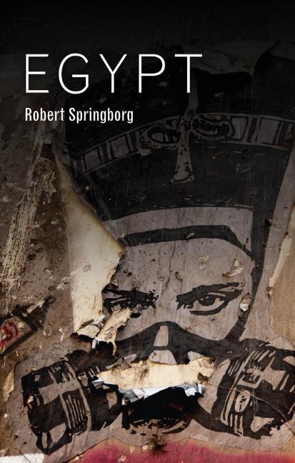 Cover: 9781509520497 | Egypt | Robert Springborg | Taschenbuch | 264 S. | Englisch | 2017