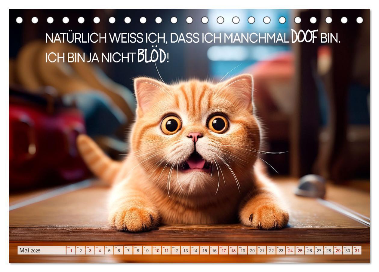 Bild: 9783383773518 | Süße Katzen und coole Sprüche (Tischkalender 2025 DIN A5 quer),...