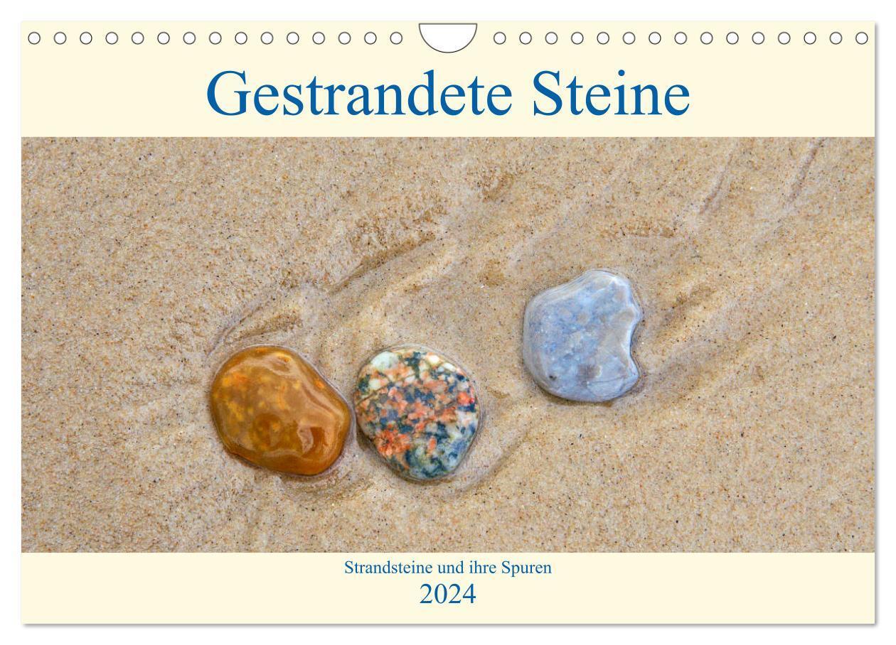 Cover: 9783675524521 | Gestrandete Steine (Wandkalender 2024 DIN A4 quer), CALVENDO...