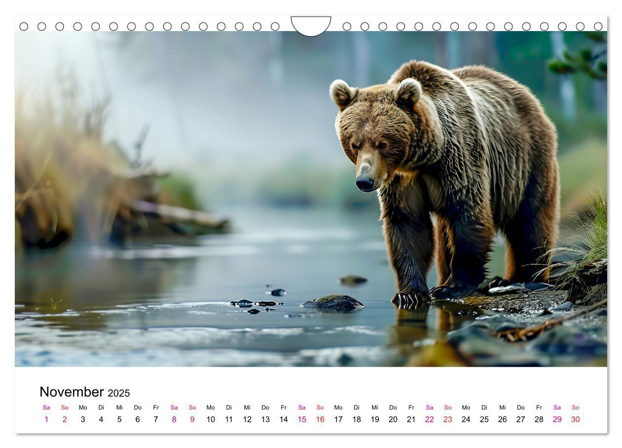 Bild: 9783457170434 | Bären - gefährlich nett (Wandkalender 2025 DIN A4 quer), CALVENDO...