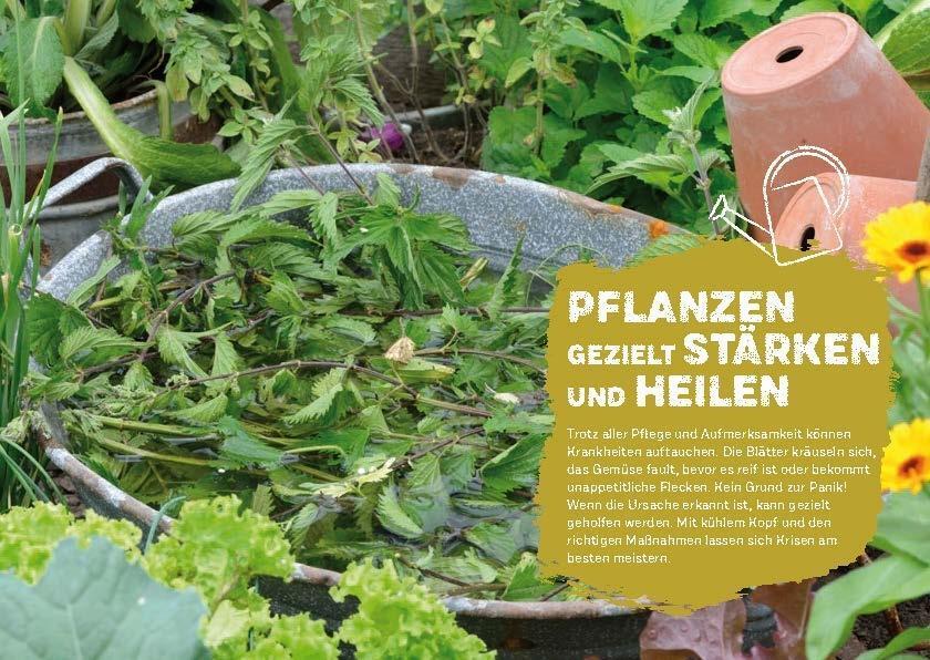 Bild: 9783818615031 | Boden & Pflanzen natürlich stärken | Markus Gastl (u. a.) | Buch