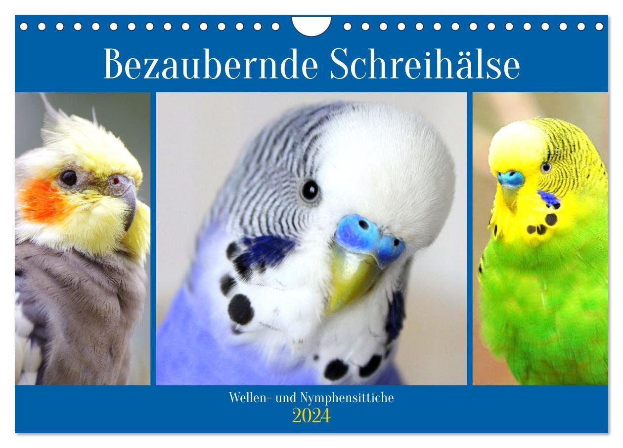 Cover: 9783675984042 | Bezaubernde Schreihälse. Wellen- und Nymphensittiche (Wandkalender...
