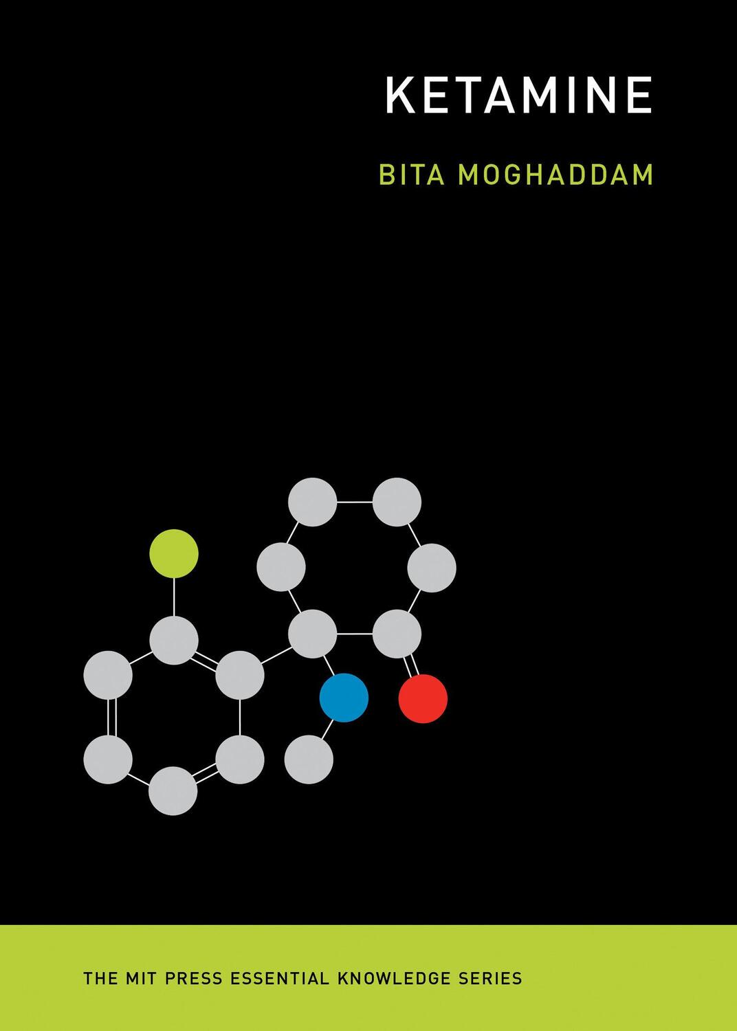 Cover: 9780262542241 | Ketamine | Bita Moghaddam | Taschenbuch | Einband - flex.(Paperback)
