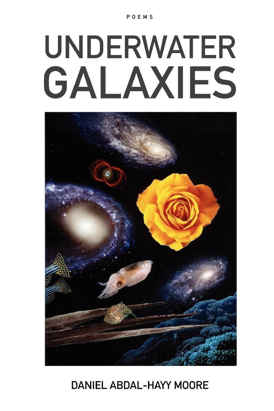 Cover: 9780615145051 | Underwater Galaxies | Daniel Abdal-Hayy Moore | Taschenbuch | Englisch
