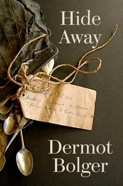 Cover: 9781848409385 | Hide Away | Dermot Bolger | Taschenbuch | Englisch | 2024