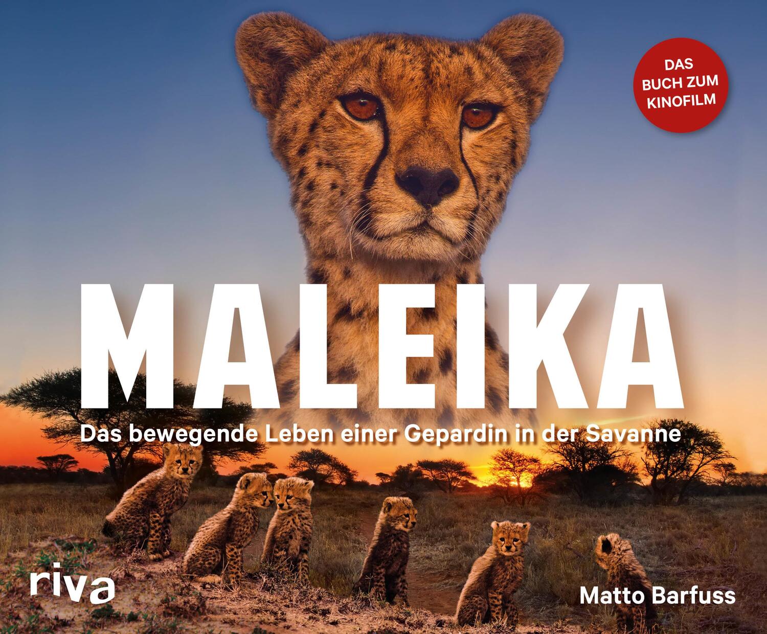 Cover: 9783742303813 | Maleika | Das bewegende Leben einer Gepardin in der Savanne | Barfuss