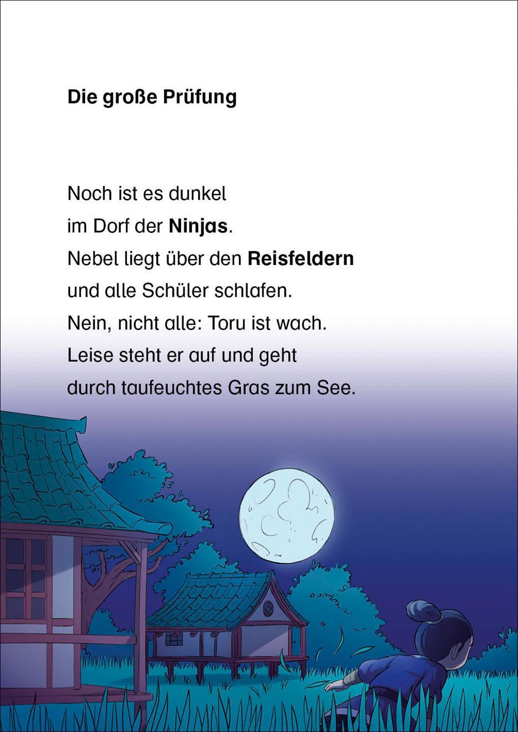 Bild: 9783743208612 | Leselöwen 2. Klasse - Die große Ninja-Prüfung | Henriette Wich | Buch