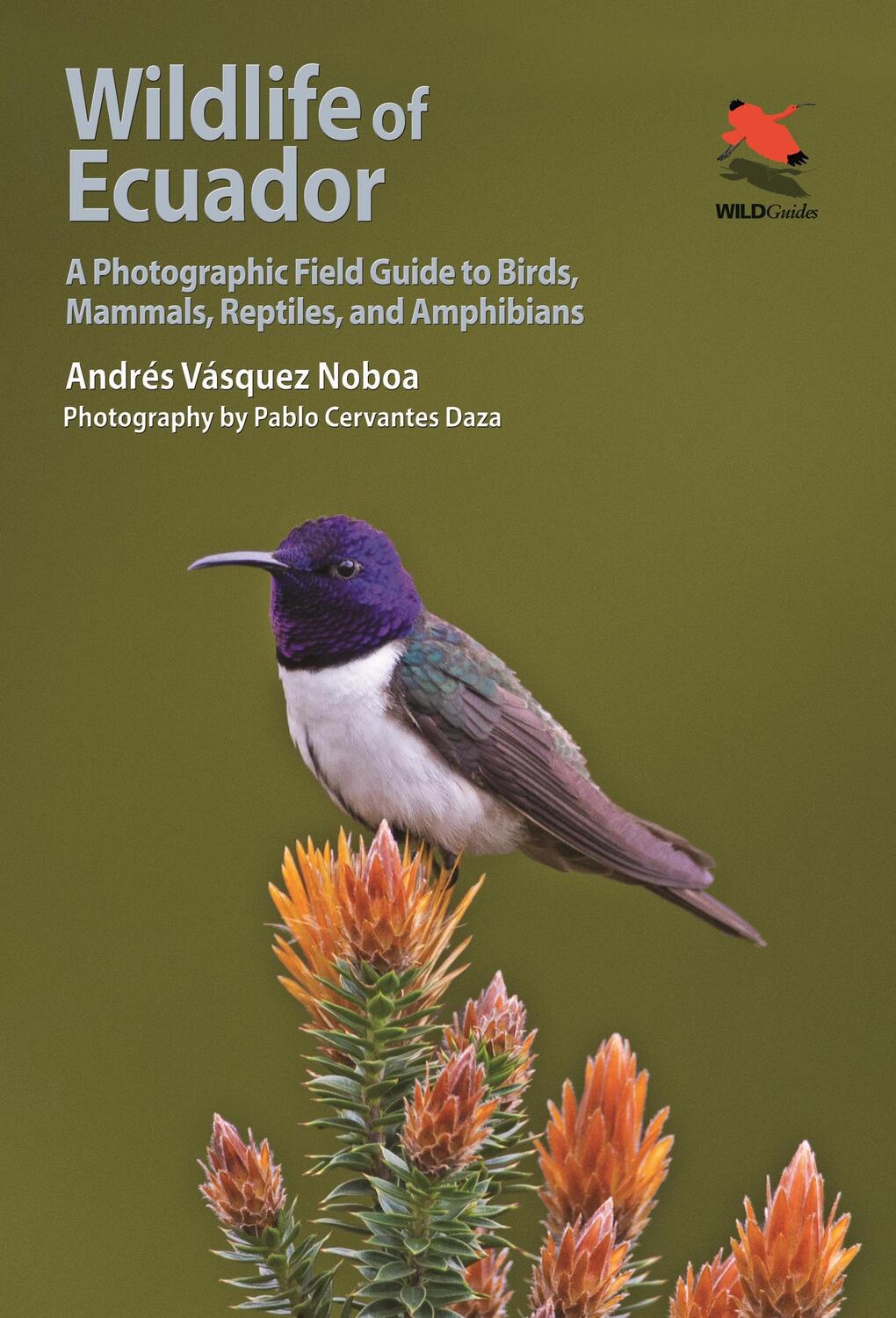 Cover: 9780691161365 | Wildlife of Ecuador | Andrés Vásquez Noboa | Taschenbuch | Englisch
