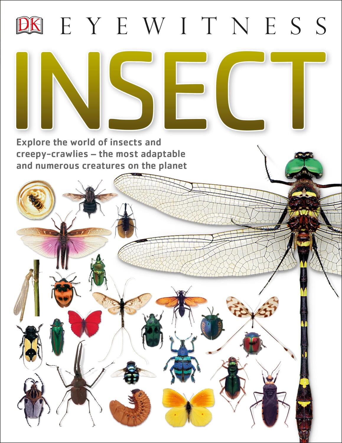 Cover: 9780241297179 | Insect | DK | Taschenbuch | DK Eyewitness | Englisch | 2017