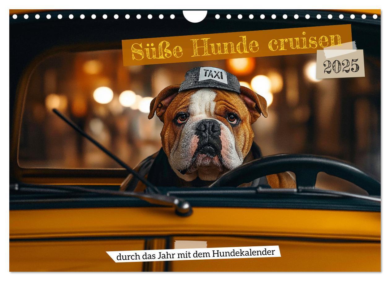 Cover: 9783457211748 | Süße Hunde cruisen - durch das Jahr mit dem Hundekalender...