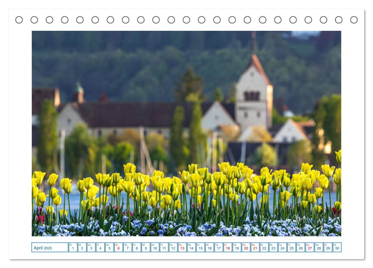 Bild: 9783457186145 | Allensbach am Bodensee (Tischkalender 2025 DIN A5 quer), CALVENDO...