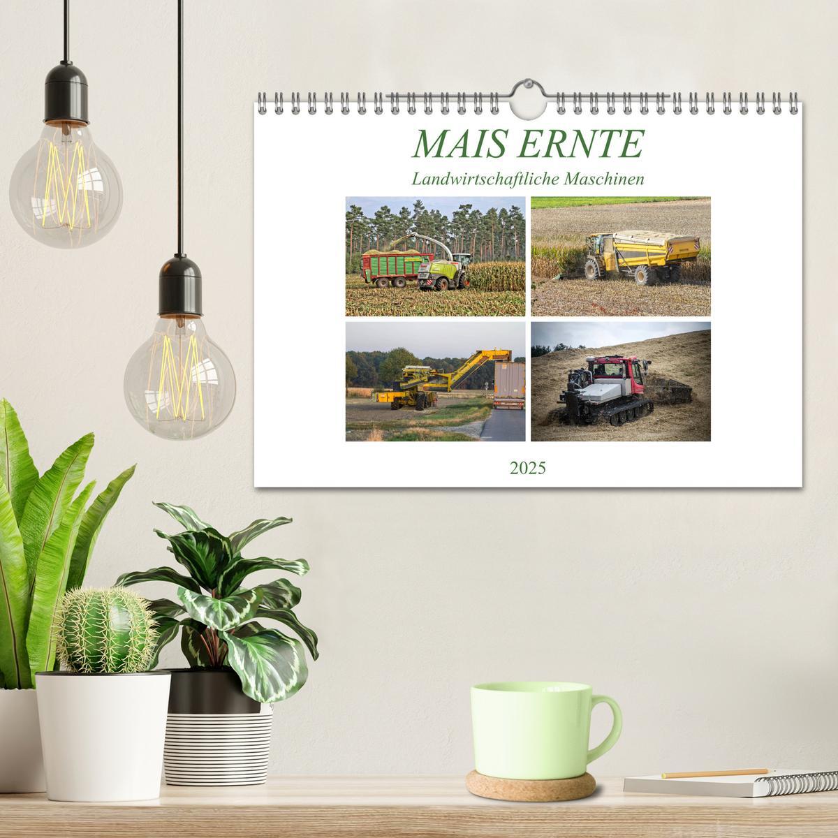 Bild: 9783435293704 | MAIS ERNTE (Wandkalender 2025 DIN A4 quer), CALVENDO Monatskalender