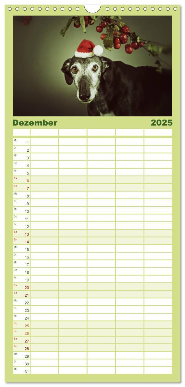 Bild: 9783457112526 | Familienplaner 2025 - Der Windhundekalender mit 5 Spalten...