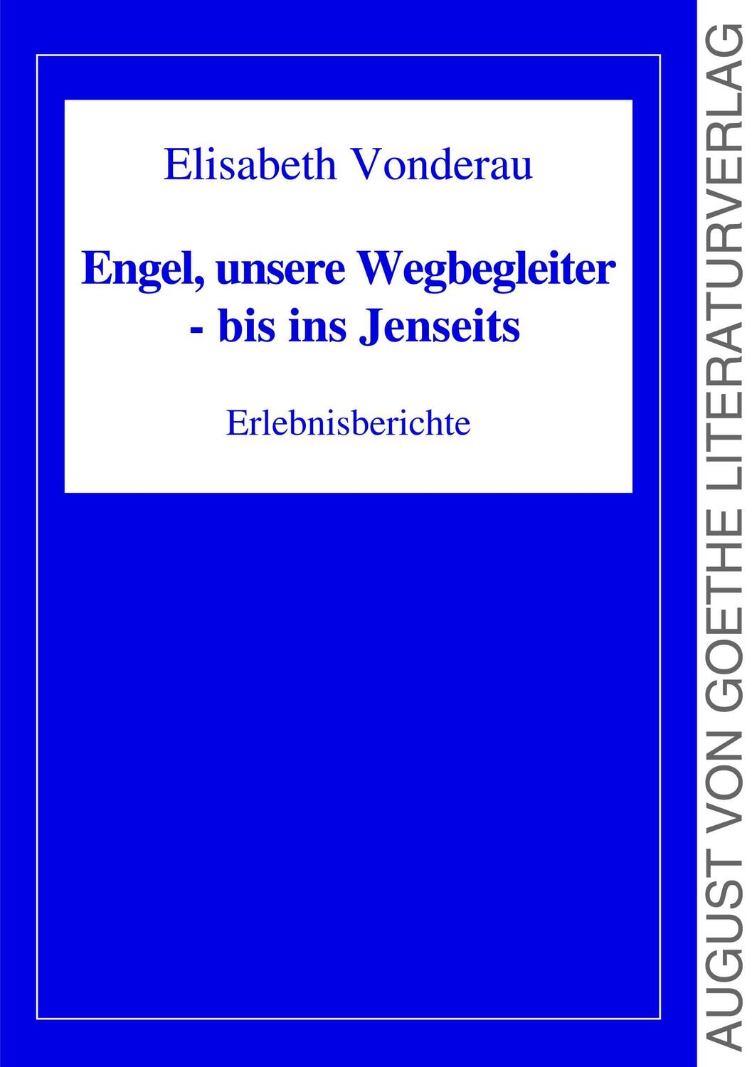 Cover: 9783837221558 | Engel, unsere Wegbegleiter - bis ins Jenseits | Erlebnisberichte
