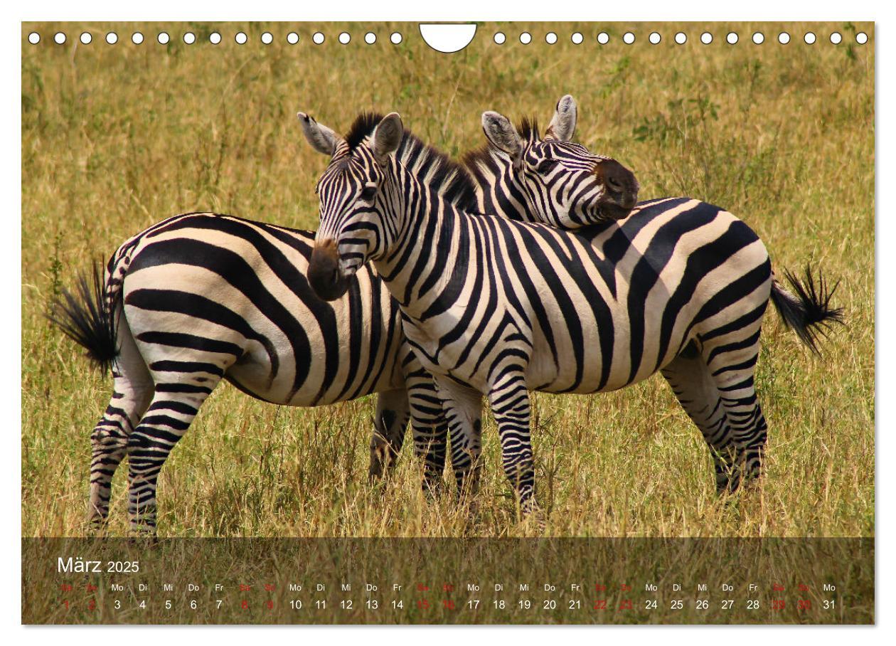 Bild: 9783435093823 | Ostafrika - Tansania und Kenia hautnah (Wandkalender 2025 DIN A4...